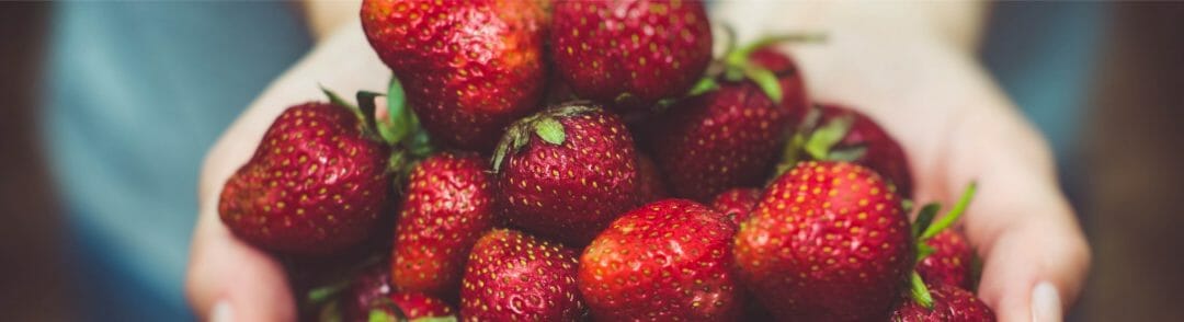Heaping handful of fresh, ripe strawberries