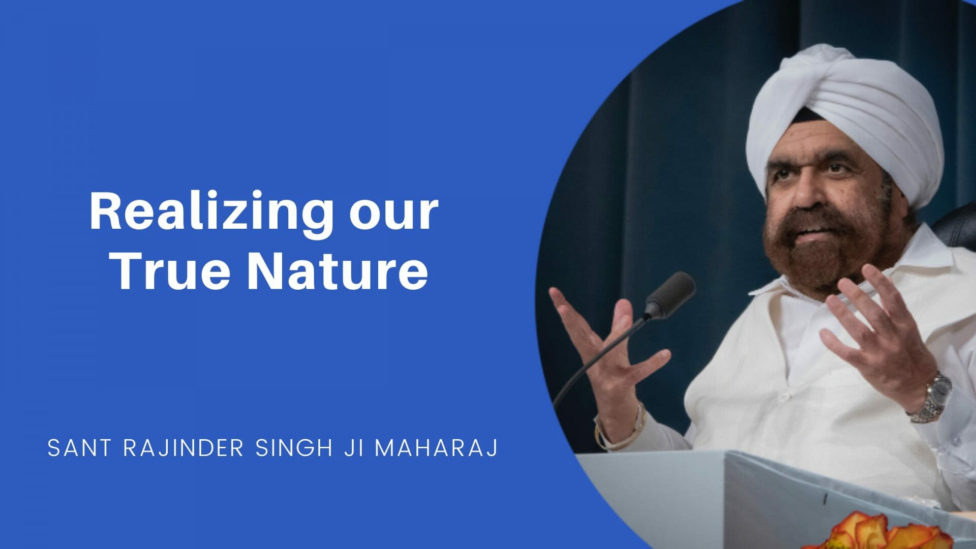 Cover slide for Realizing Our True Nature - An excerpt of a talk by Sant Rajinder Singh Ji Maharj